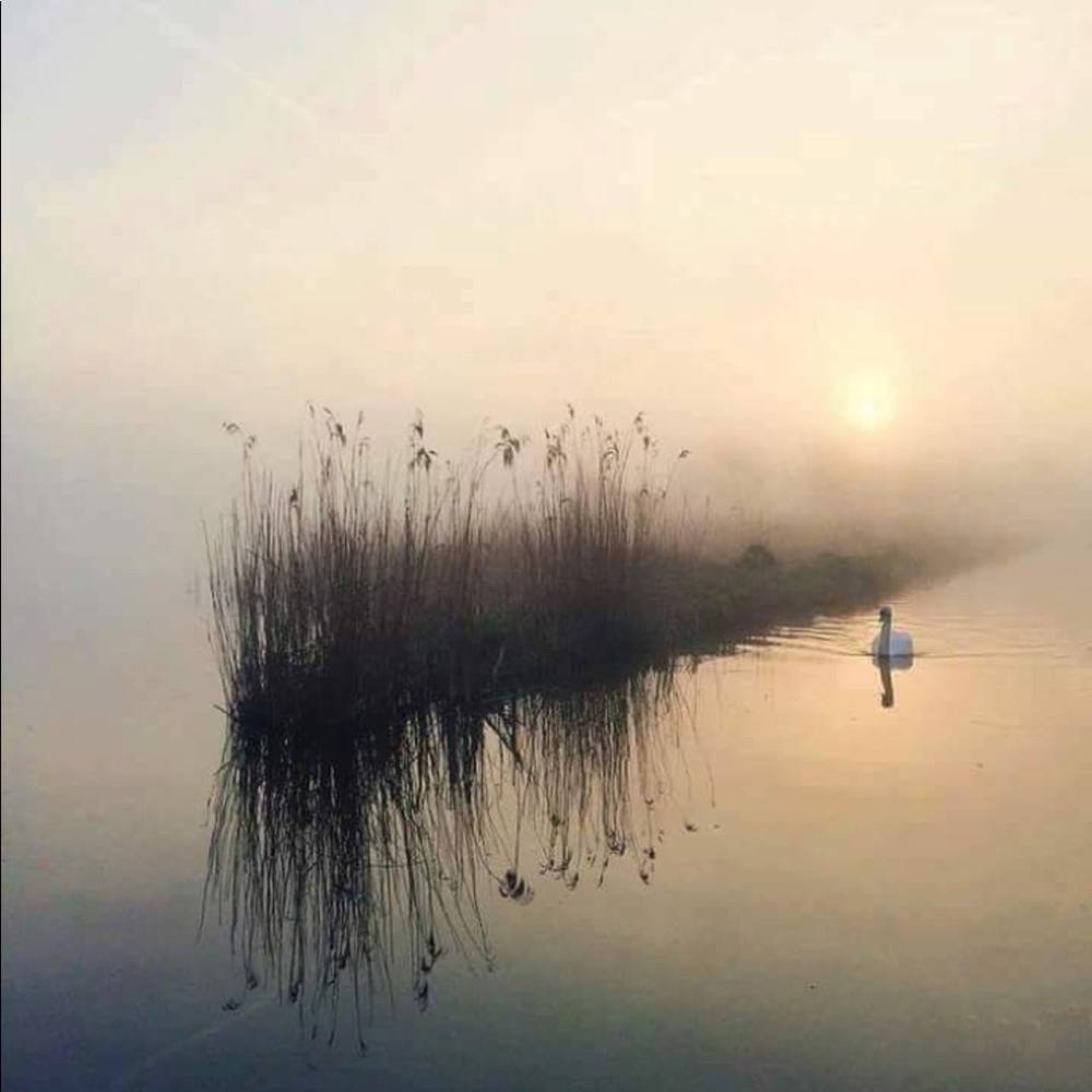 Meet your Posher, Mary ann